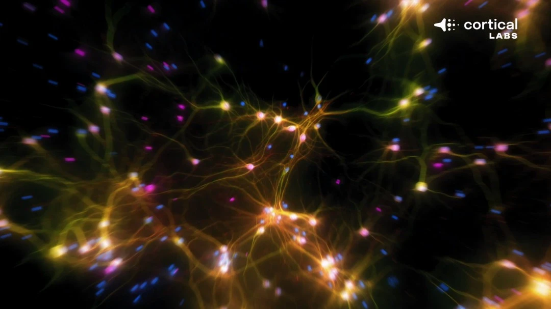 巴萨联赛马,丁红牌改黄,欧冠库巴西,MK登录入口,MK平台,MK注册网址,MKapp,MK官网,MK网站,MK网页版